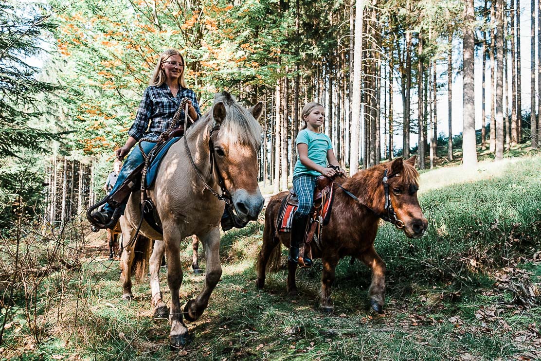 Chalets, Appartments und Ferienwohnungen im Bayerischer Wald